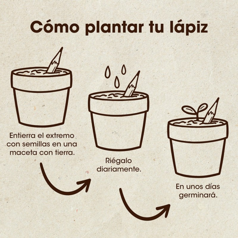 Lápices plantables lápices con semillas para regalar Tienda de semillas