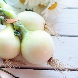 Semillas de Cebolla Babosa | Comprar online
