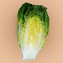 Lechuga, Cogollo de Tudela - Semillas
