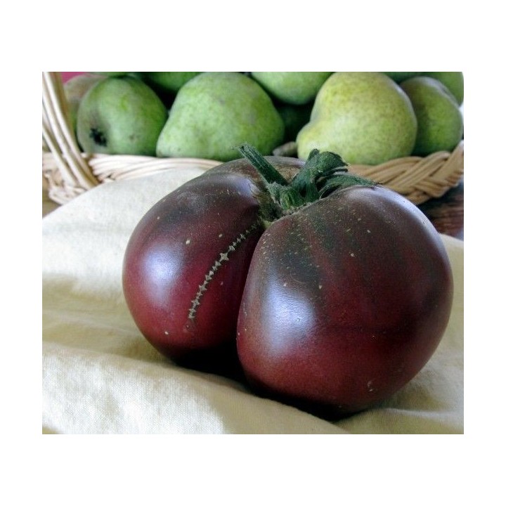 tomate brandywine black semillas