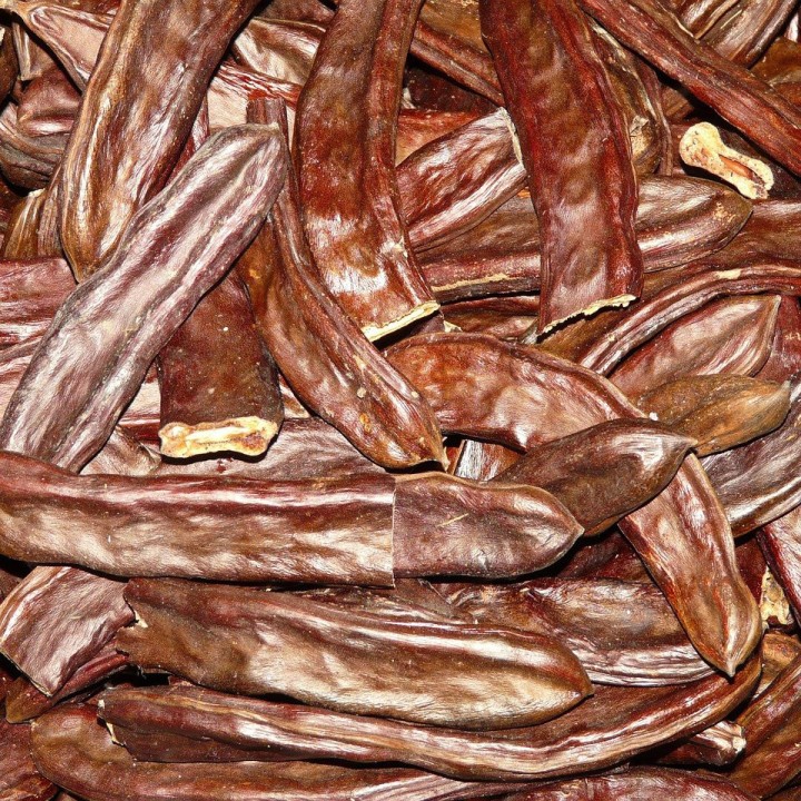 algarrobo de semilla ceratonia siliqua