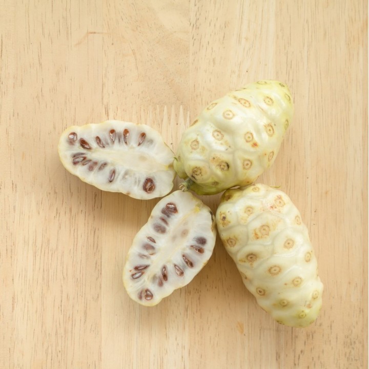 Noni semillas Morinda citrifolia