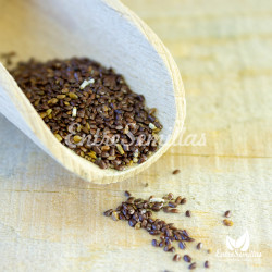 french lavender seeds