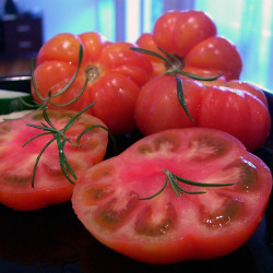 semillas de tomate marmande