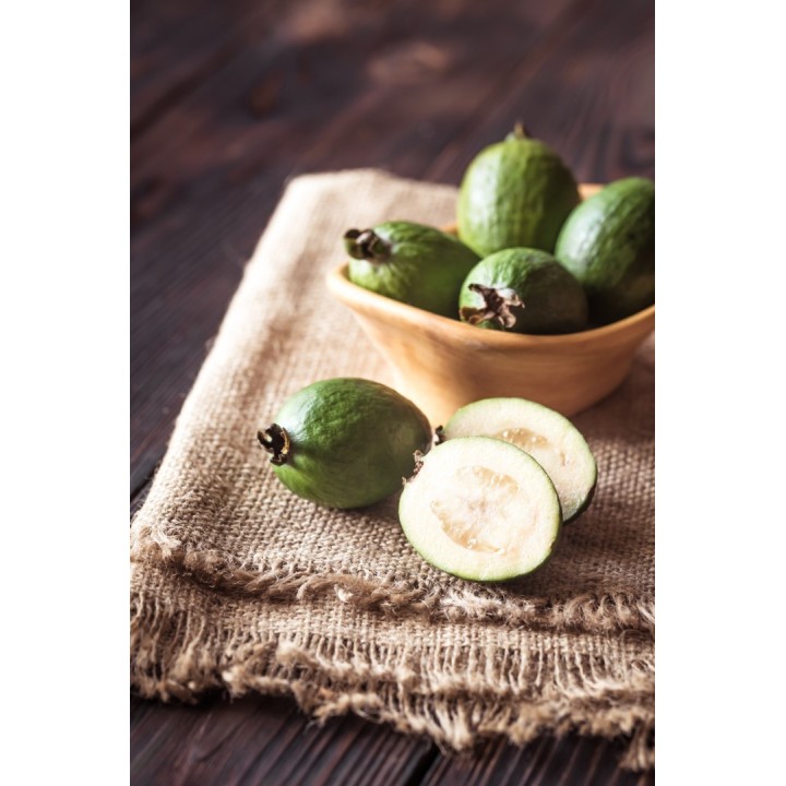 Feijoa (Acca sellowiana) - Semillas | Compra semillas online
