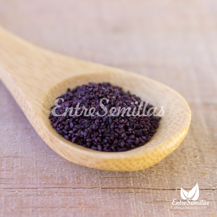 Semillas de Arándano azul (Vaccinium myrtillus) | Compra semillas online
