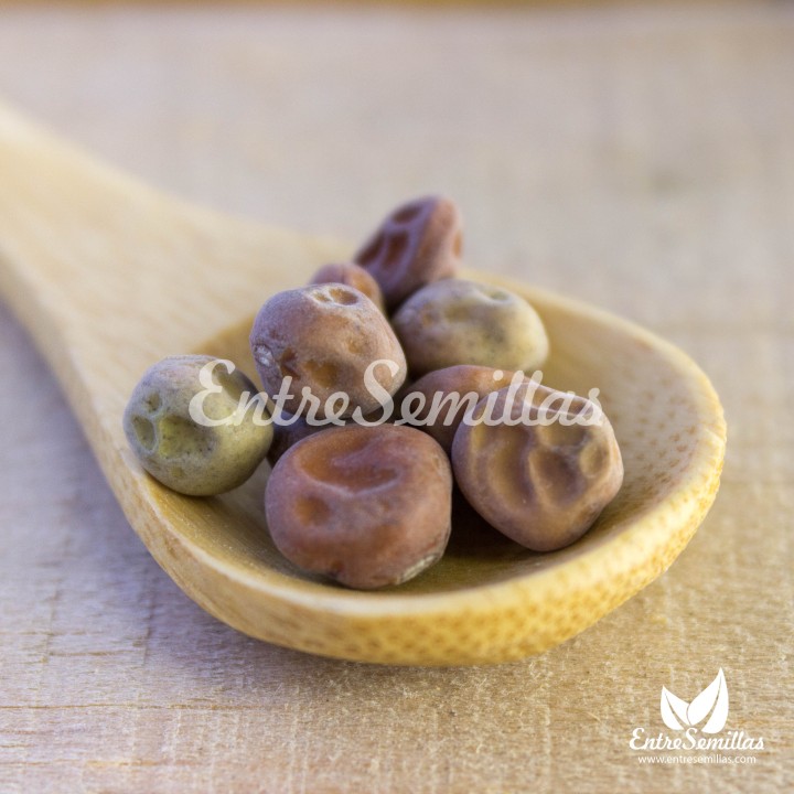 Semillas de Guisante Tirabeque, variedad de vainas aplanadas