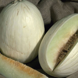 semillas de melón blanco