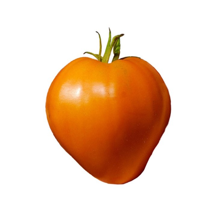 Tomate Alemán Naranja - Sobre 25 semillas