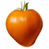 Tomate Alemán Naranja - Sobre 25 semillas