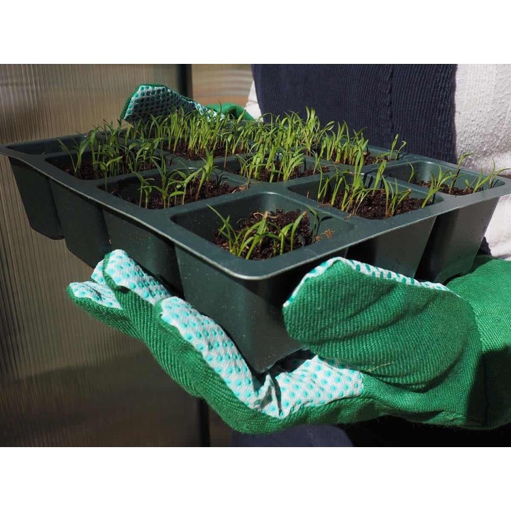 Semilleros de 12 celdas (10u) – SPOROTRAY 12 | EntreSemillas
