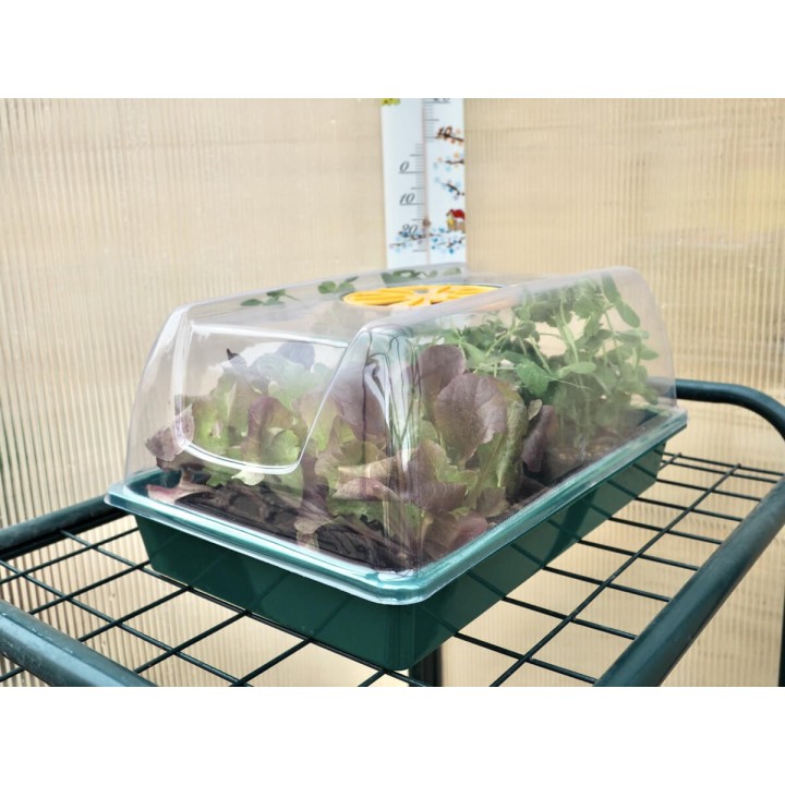 Mini invernadero de 38x24 para plantas y semillas | EntreSemillas