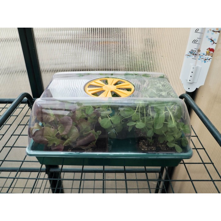 Mini invernadero de 38x24 para plantas y semillas | EntreSemillas