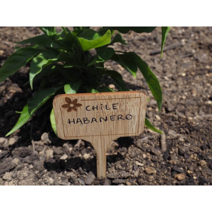 Etiquetas de bambú para identificar plantas | EntreSemillas