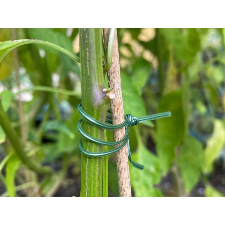 Alambre para atar 100 metros, para entutorar plantas | EntreSemillas