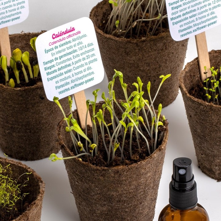 Flower Power – Kit Autocultivo de flores | Kit de semillas
