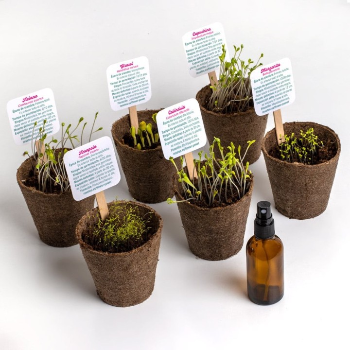 Flower Power – Kit Autocultivo de flores | Kit de semillas