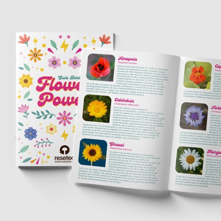 Flower Power – Kit Autocultivo de flores | Kit de semillas