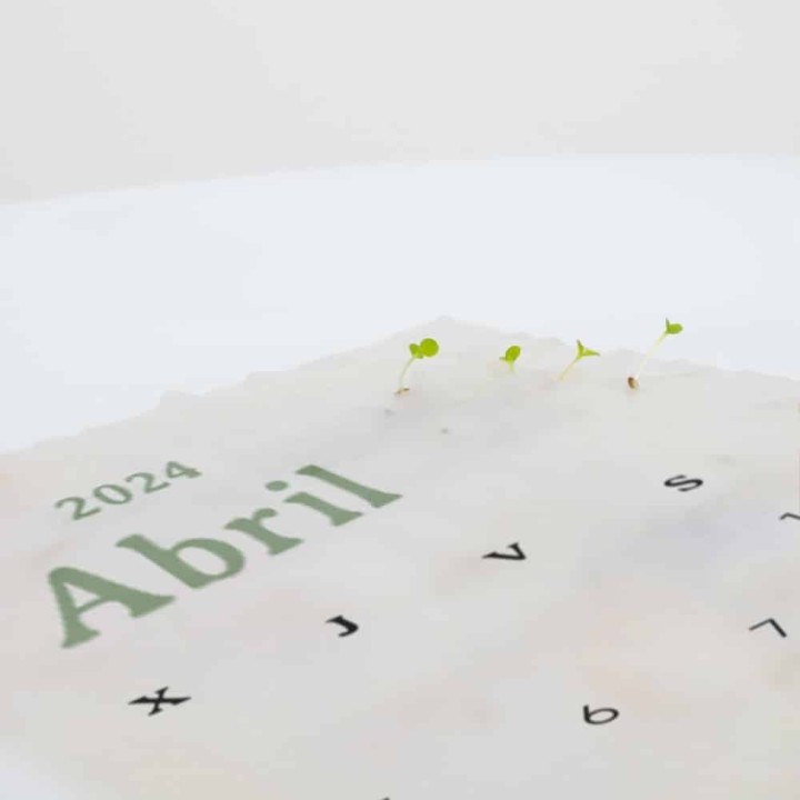 Calendario Plantable 2024: ¡Haz de tu año un ecoamigable viaje de crecimiento!