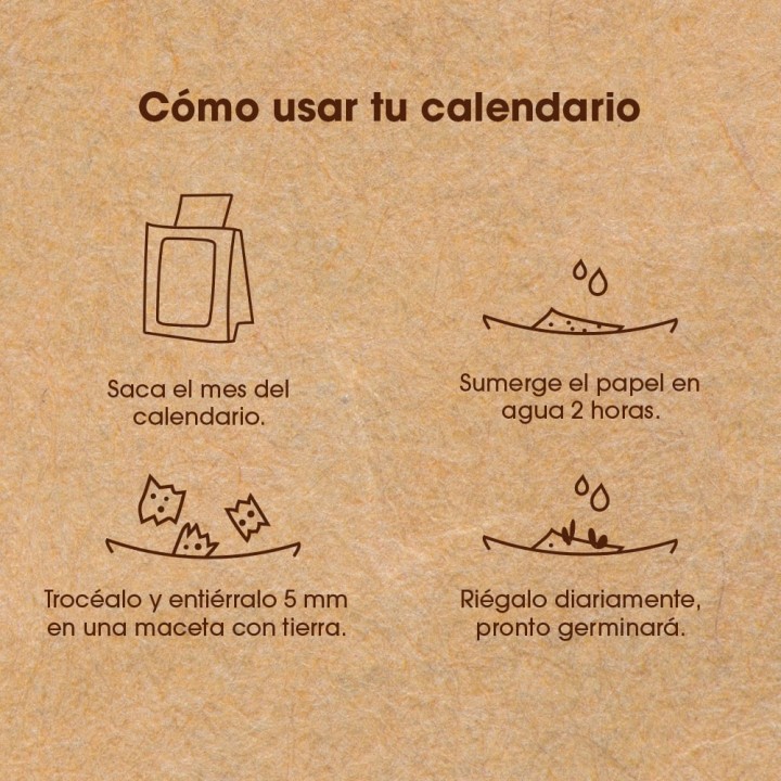 Calendario Plantable 2024: ¡Haz de tu año un ecoamigable viaje de crecimiento!