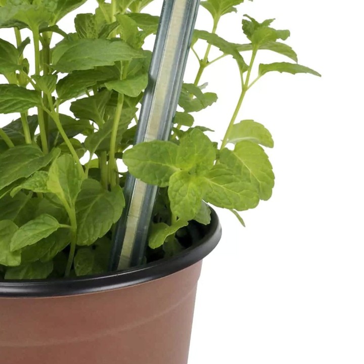 Macetas de cultivo Ø9cm (8 uds) para semillas y esquejes