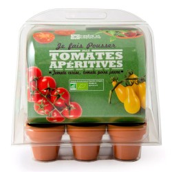 Mini invernadero para Tomates ecológicos