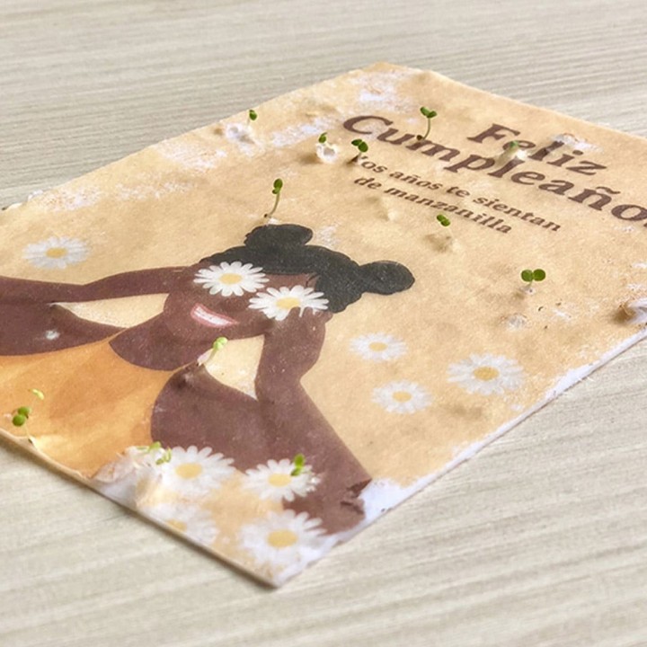 Postal Plantable – Los deseos que se plantan se cumplen