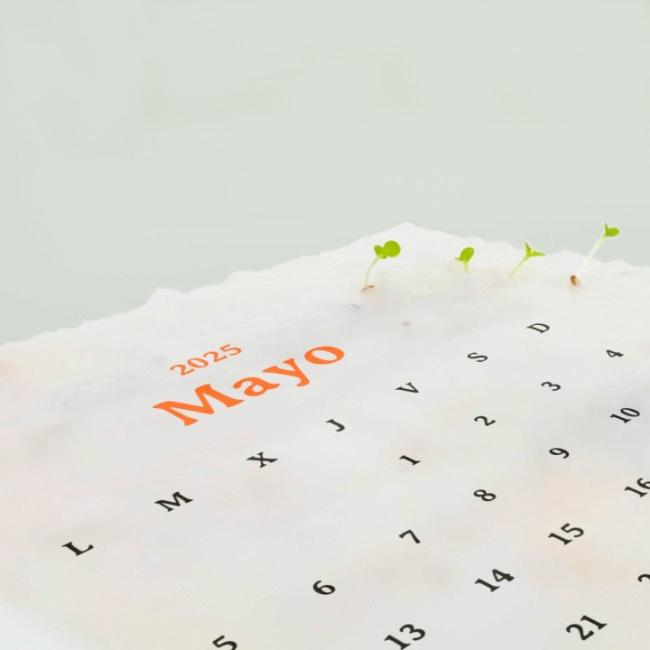 Calendario Plantable 2025: ¡Haz de tu año un ecoamigable viaje de crecimiento!