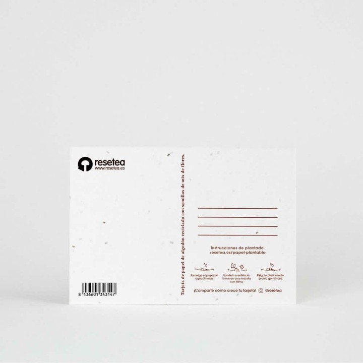 Postal Plantable - Feliz Navidad
