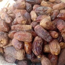 Palmera datilera - Semillas