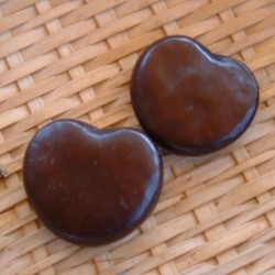 Liana de los frijoles marinos - Semillas