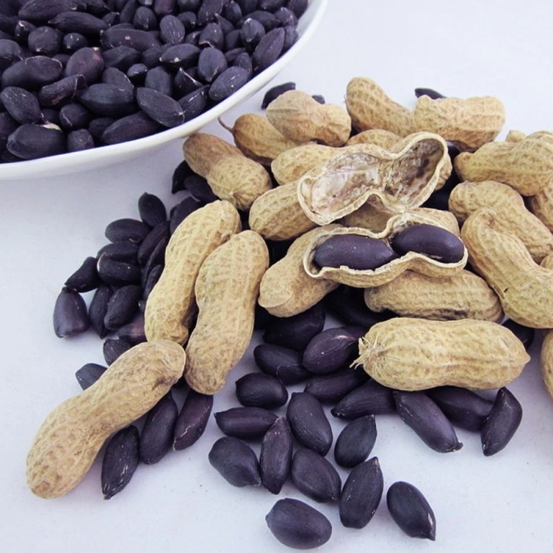 Cacahuete negro - Semillas