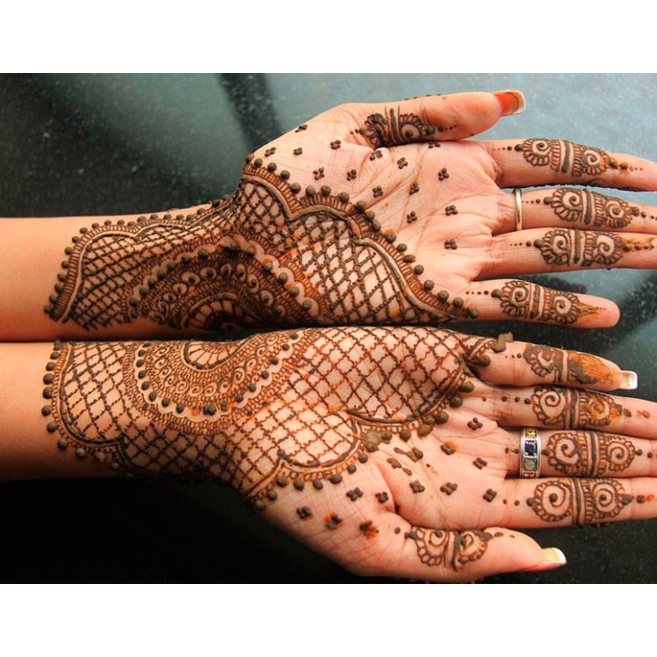 Semillas de henna lawsonia inermis planta hena