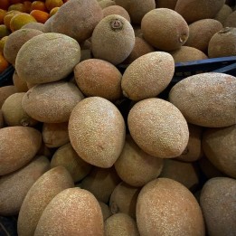 Mamey - Semillas