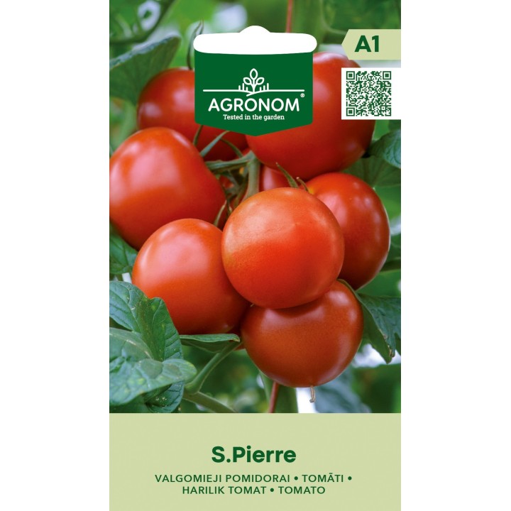 Tomate Saint Pierre - Semillas