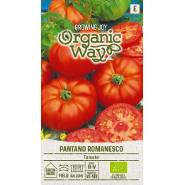 Tomate Pantano Romanesco - Semillas