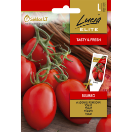 Tomate Blumko - Semillas