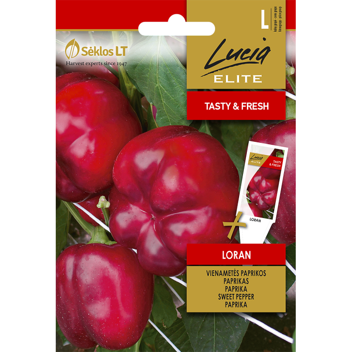 Pimiento dulce Loran - Semillas
