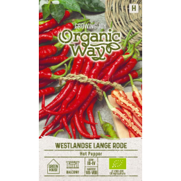 Pimiento picante Westlandse Lange Rode - Semillas