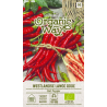 Pimiento picante Westlandse Lange Rode - Semillas