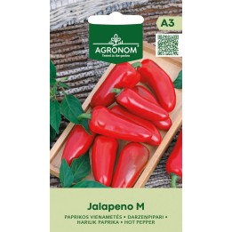 Pimiento picante Jalapeño M - Semillas