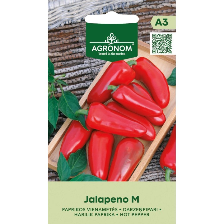 Pimiento picante Jalapeño M - Semillas