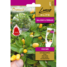 Pimiento picante Vulcain - Semillas