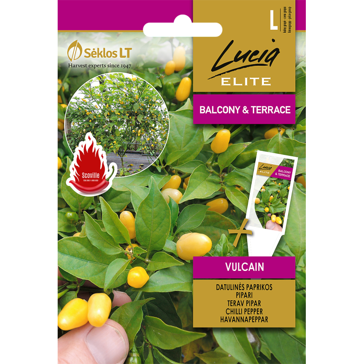 Pimiento picante Vulcain - Semillas