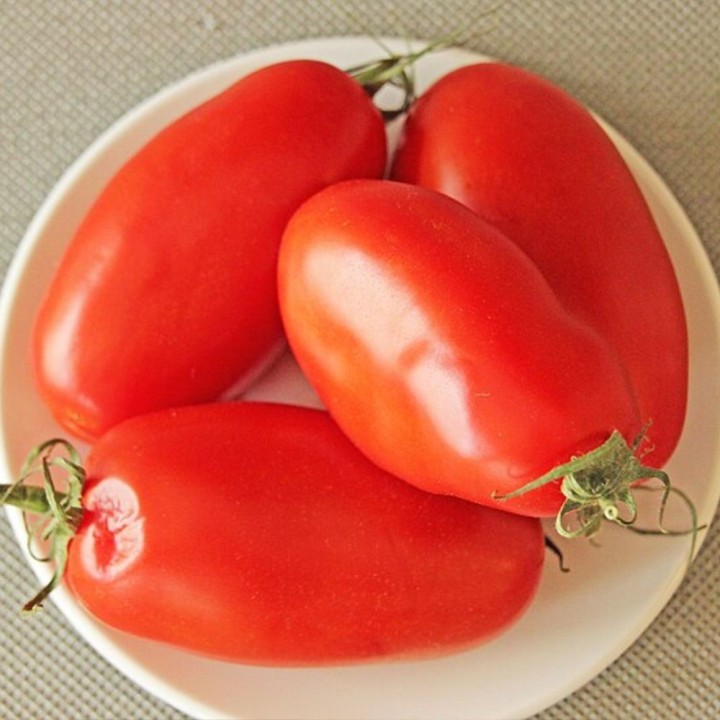Tomate S. Marzano 2 - Semillas