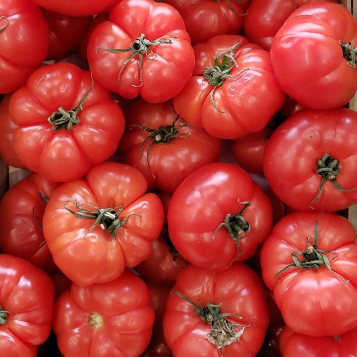 Tomate Beefsteak - Semillas