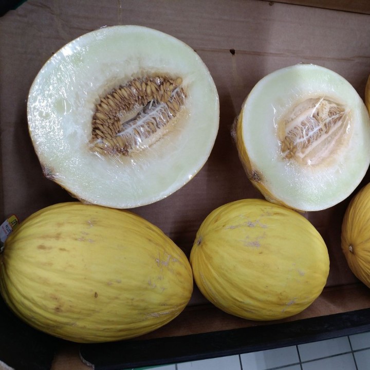 Melón Amarillo Canario | Semillas para sembrar