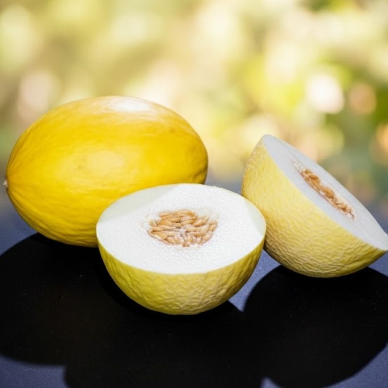 Melón Amarillo Canario - Semillas