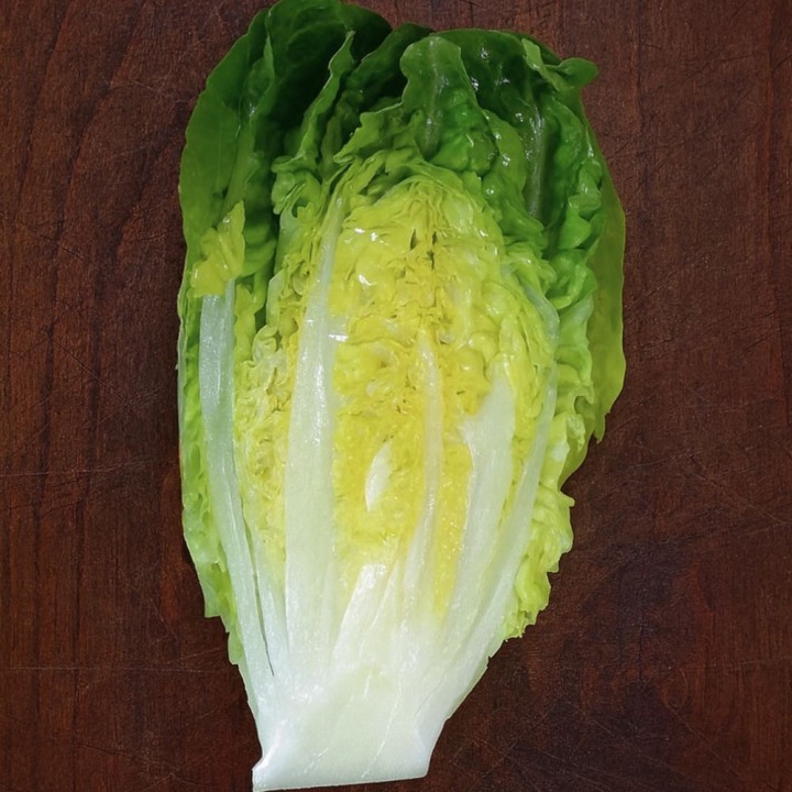 Semillas de Lechuga Cogollo de Tudela | Tienda online de semillas