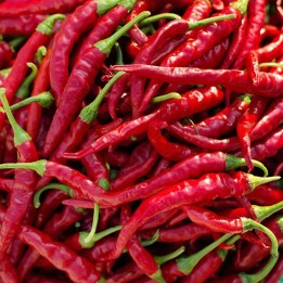Pimiento, Cayena - Semillas